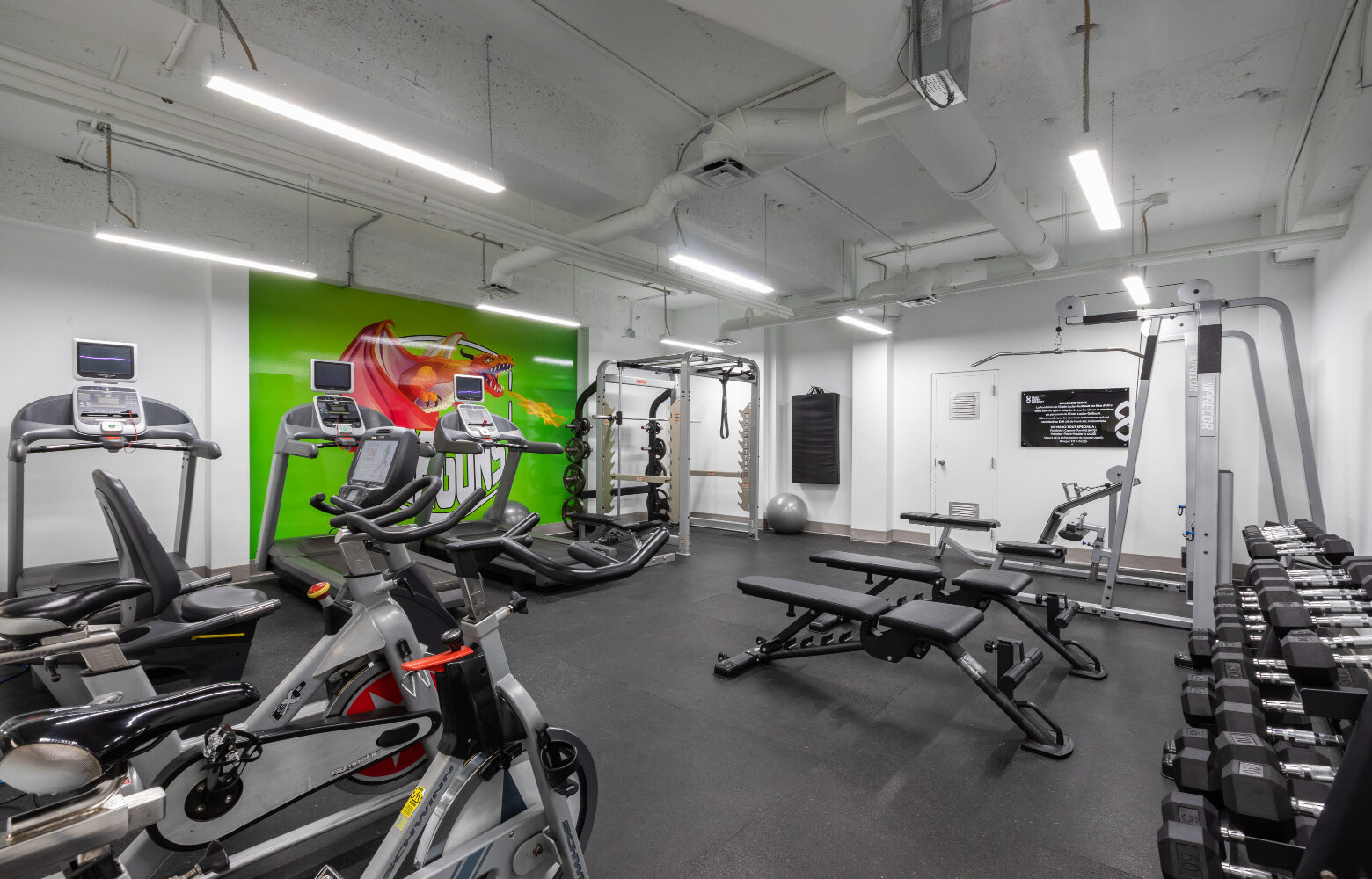 5-Vergo-Ecole Lucien-Guilbault-Montreal